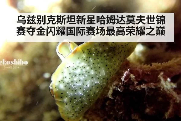 乌兹别克斯坦新星哈姆达莫夫世锦赛夺金闪耀国际赛场最高荣耀之巅