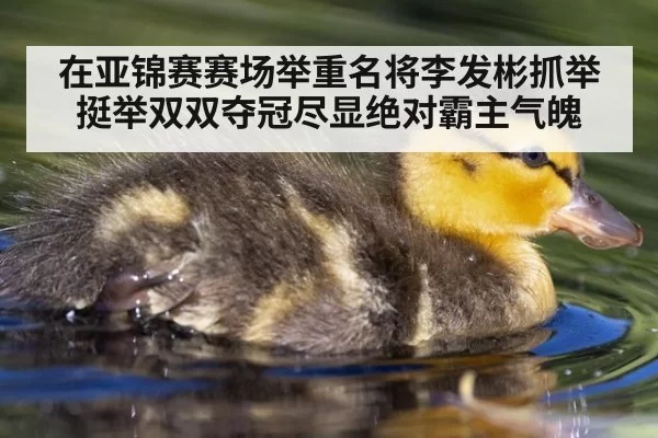 在亚锦赛赛场举重名将李发彬抓举挺举双双夺冠尽显绝对霸主气魄